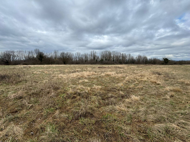 Terreno Agricolo in vendita a Savogna d'Isonzo