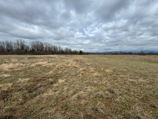 Terreno Agricolo in vendita a Savogna d'Isonzo