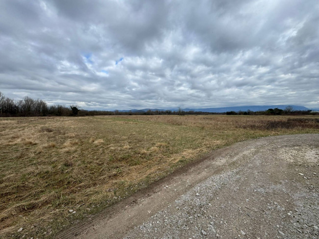 Terreno Agricolo in vendita a Savogna d'Isonzo