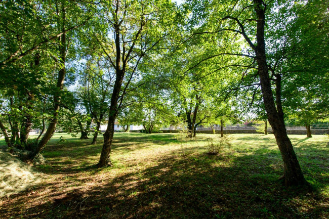 Terreno edificabile in vendita a Doberdò del Lago