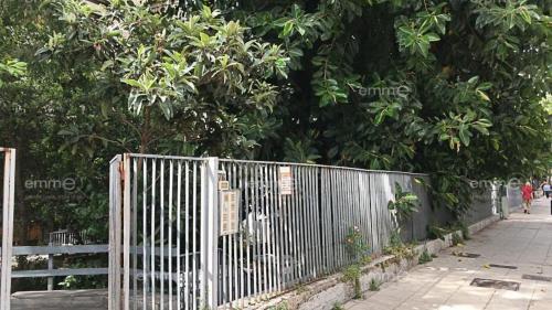 Appartamento in affitto a Palermo