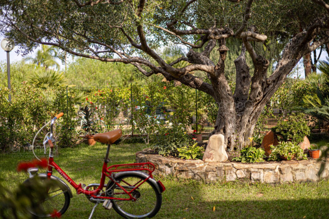 Villette a schiera in vendita a Pollina