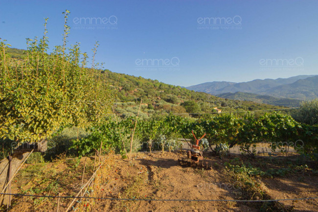 Appartamento in vendita a Pollina
