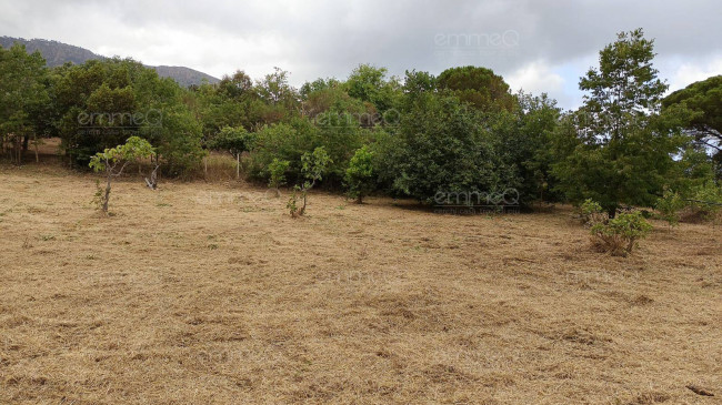Edificio in vendita a Cefalù