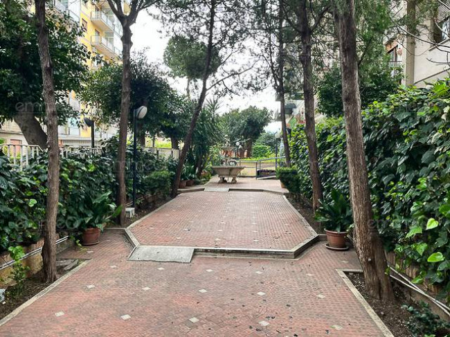 Appartamento in affitto a Palermo