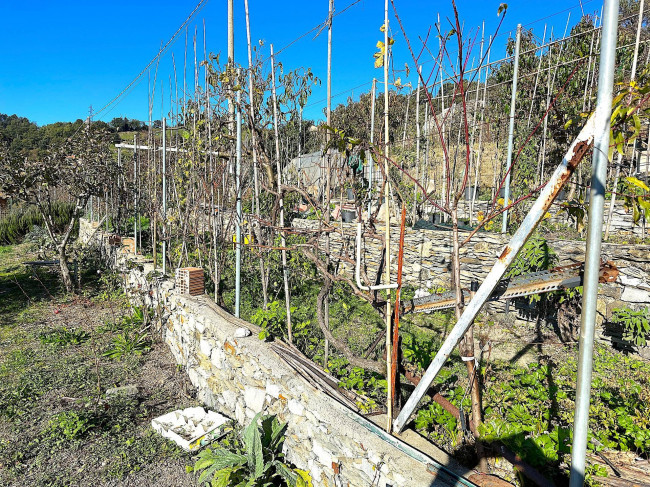 Appartamento in vendita a Moneglia (GE)