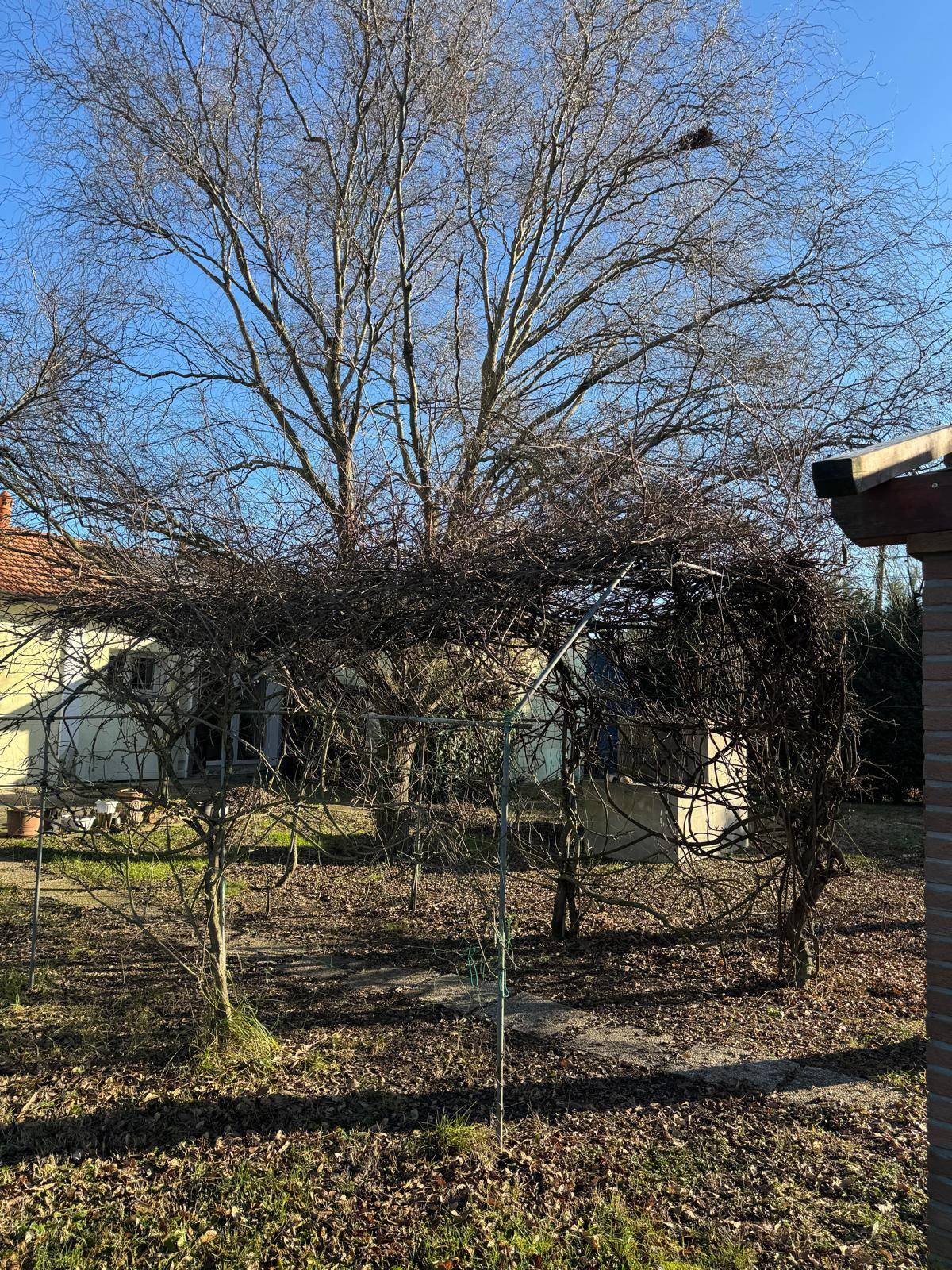 Villa in vendita a Voghiera (FE)