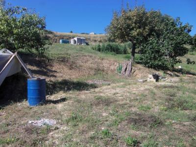 Terreno agricolo in vendita a Acquaviva Picena (AP)