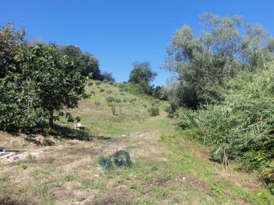 Terreno agricolo in vendita a Acquaviva Picena (AP)