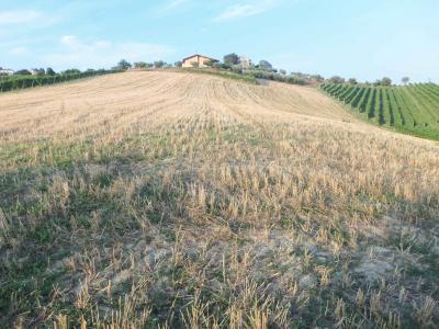 Terreno agricolo in vendita a Monsampolo Del Tronto (AP)