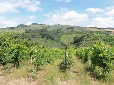 Rustico in vendita a Acquaviva Picena (AP)