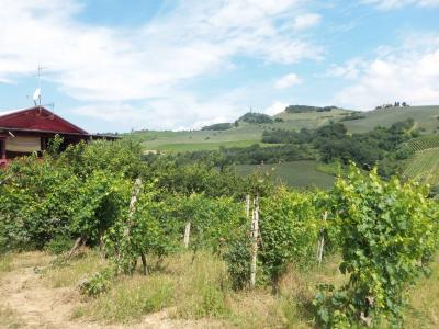 Rustico in vendita a Acquaviva Picena (AP)