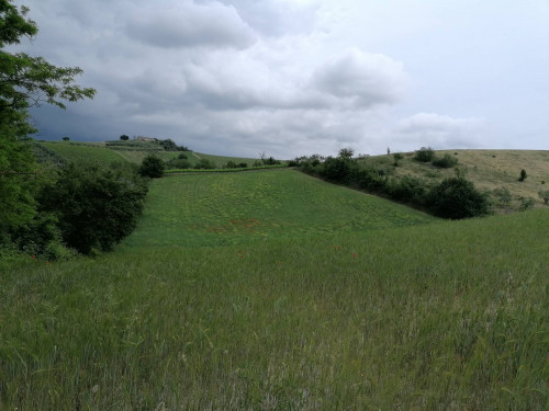 Terreno Agricolo a Acquaviva Picena