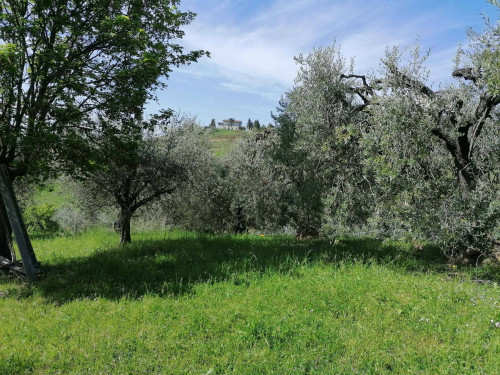 Terreno Agricolo a Acquaviva Picena