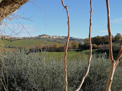 Rustico in vendita a Forola, Acquaviva Picena (AP)