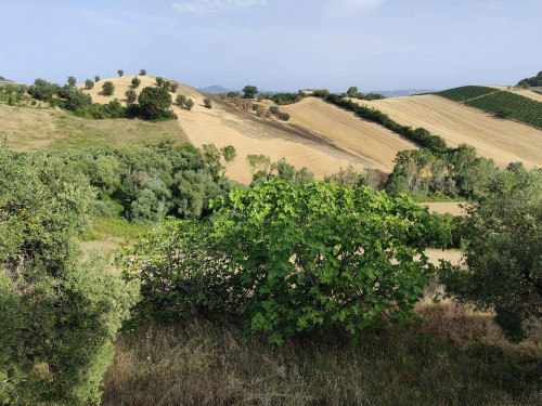 Rustico in vendita a Forola, Acquaviva Picena (AP)