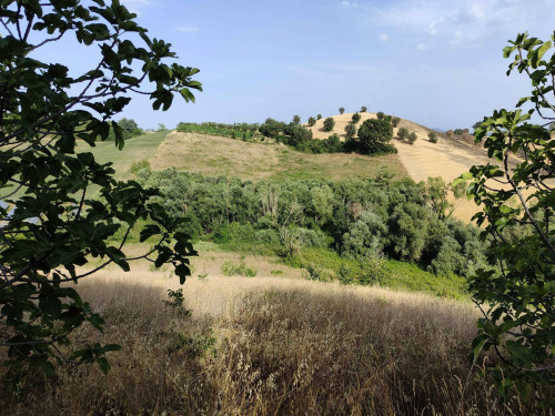 Rustico in vendita a Forola, Acquaviva Picena (AP)