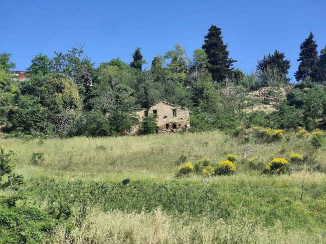 Rustico/Casale a Ripatransone