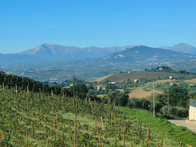 Appartamento in vendita a Acquaviva Picena (AP)