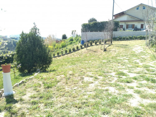 Terreno Agricolo a Acquaviva Picena