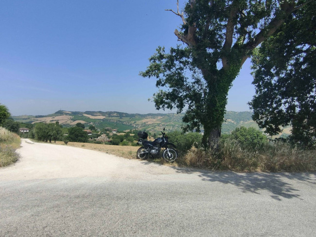 Terreno Agricolo a Acquaviva Picena