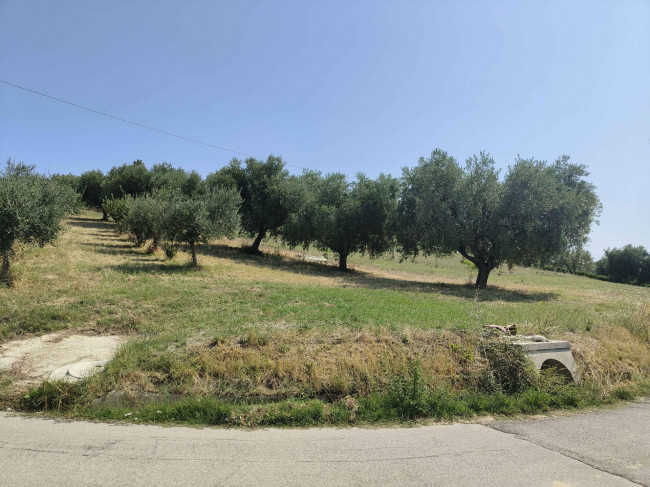 Terreno Agricolo a Acquaviva Picena