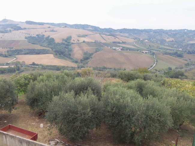 Terreno Agricolo a Acquaviva Picena