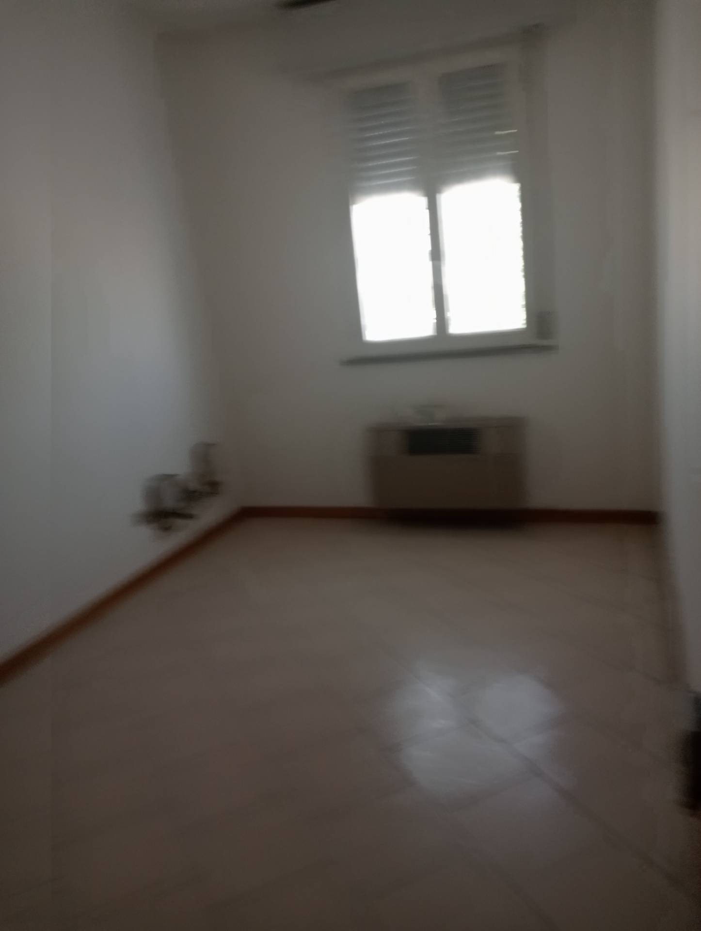 Appartamento in affitto a Faenza (RA)