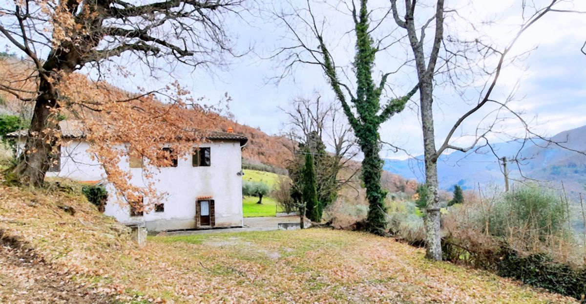 Cascina/Casale/Masseria in vendita a Rufina