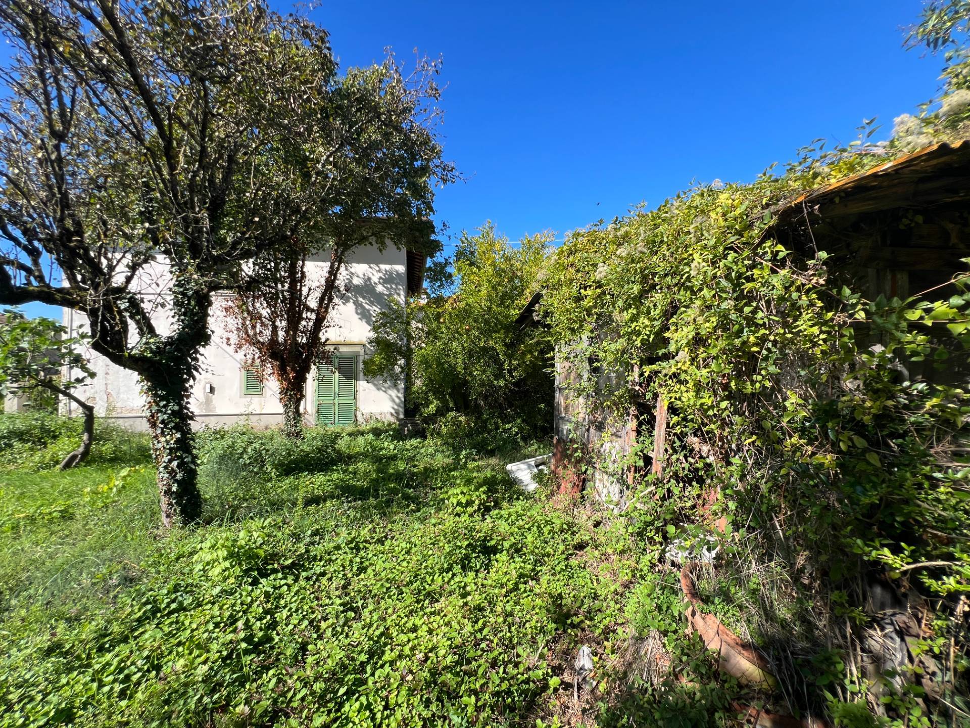  for sale in Reggello