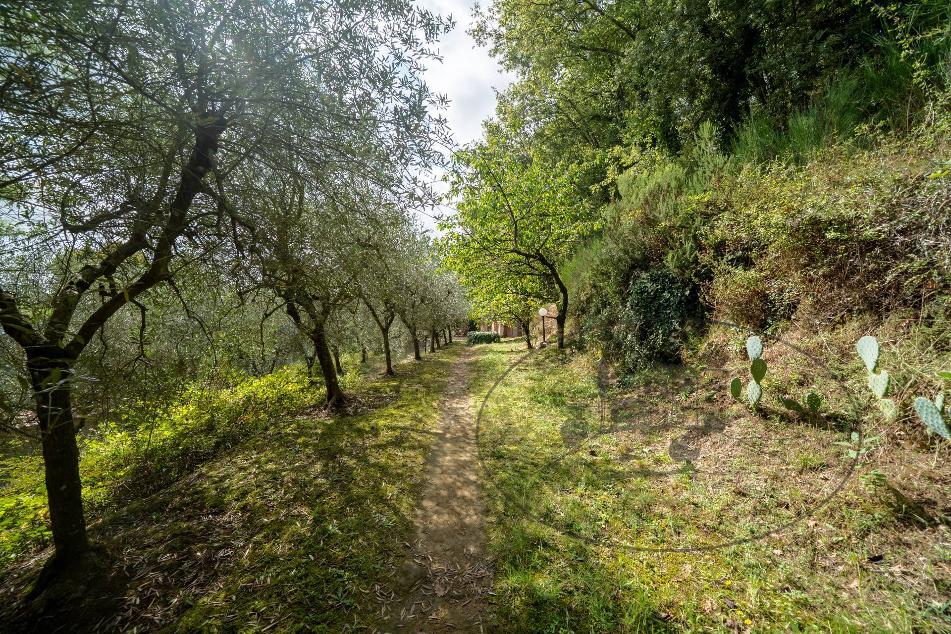  for sale in Figline e Incisa Valdarno
