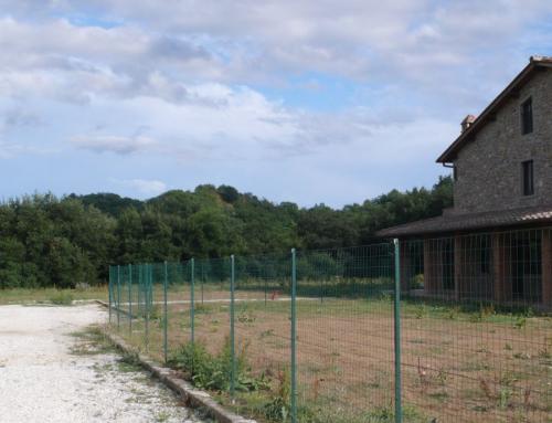 Casa semi indipendente in vendita a Reggello