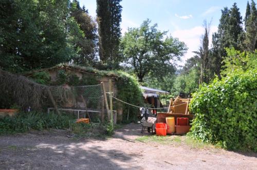Azienda Agricola in vendita a Figline e Incisa Valdarno
