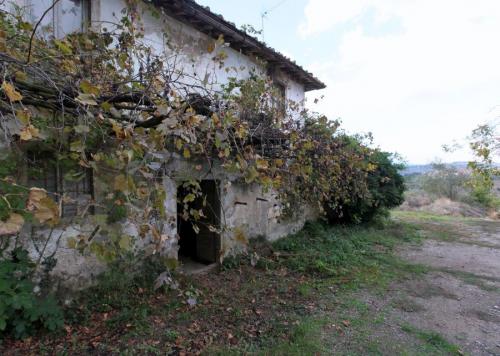 Cascina/Casale/Masseria in vendita a Reggello