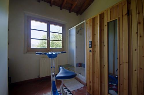 Cascina/Casale/Masseria in vendita a Figline e Incisa Valdarno