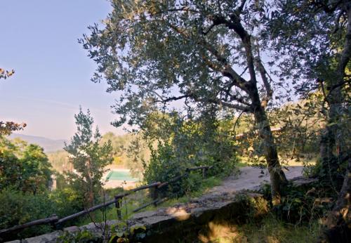 Cascina/Casale/Masseria in vendita a Reggello