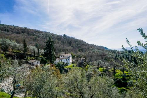 Azienda Agricola in vendita a Castelfranco Piandiscò