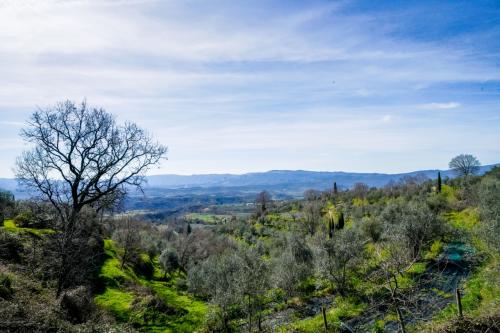 for sale in Castelfranco Piandiscò