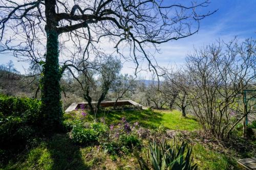  for sale in Castelfranco Piandiscò