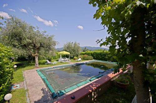Casa singola in vendita a Greve in Chianti