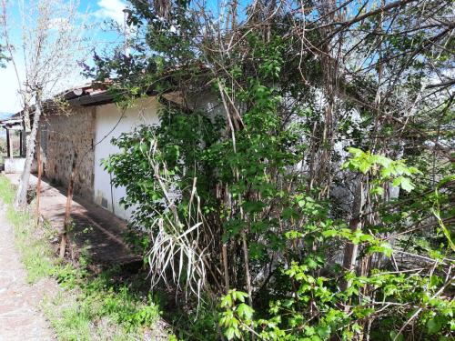 Casa singola in vendita a Cavriglia