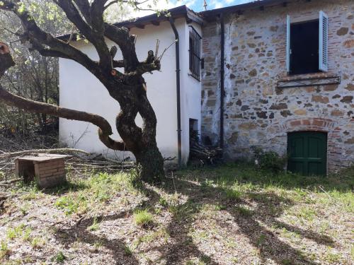 Casa singola in vendita a Cavriglia