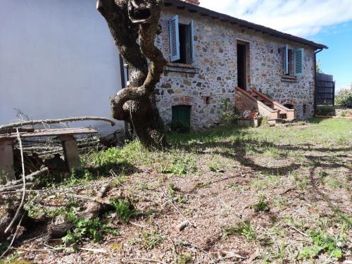 Casa singola in vendita a Cavriglia