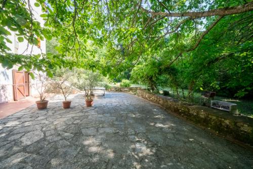 Cascina/Casale/Masseria in vendita a Reggello