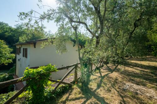 Cascina/Casale/Masseria in vendita a Reggello