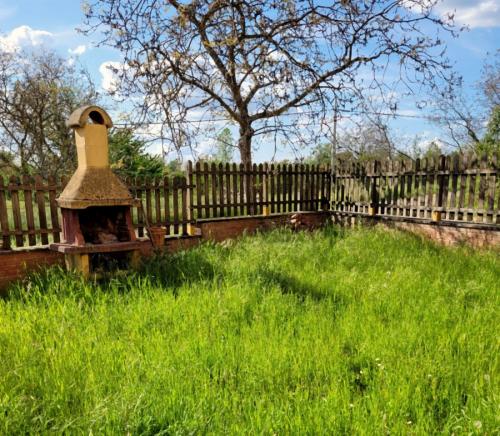  for sale in Reggello