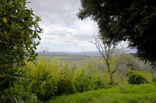 Cascina/Casale/Masseria in vendita a Figline e Incisa Valdarno