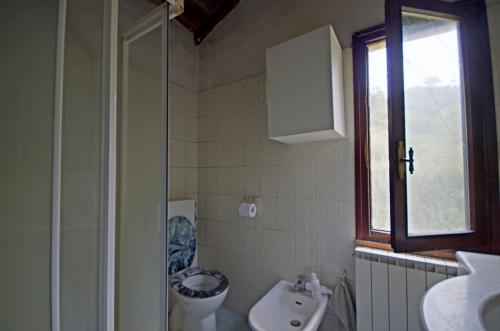 Cascina/Casale/Masseria in vendita a Reggello