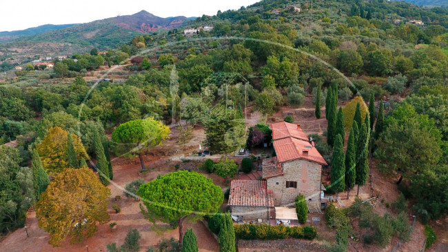 Cascina/Casale/Masseria in vendita a Reggello