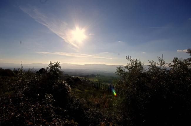 Cascina/Casale/Masseria in vendita a Reggello